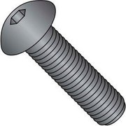 BRIGHTON-BEST 1/4"-20 Socket Head Cap Screw, Black Oxide Steel, 1-1/2 in Length 701125